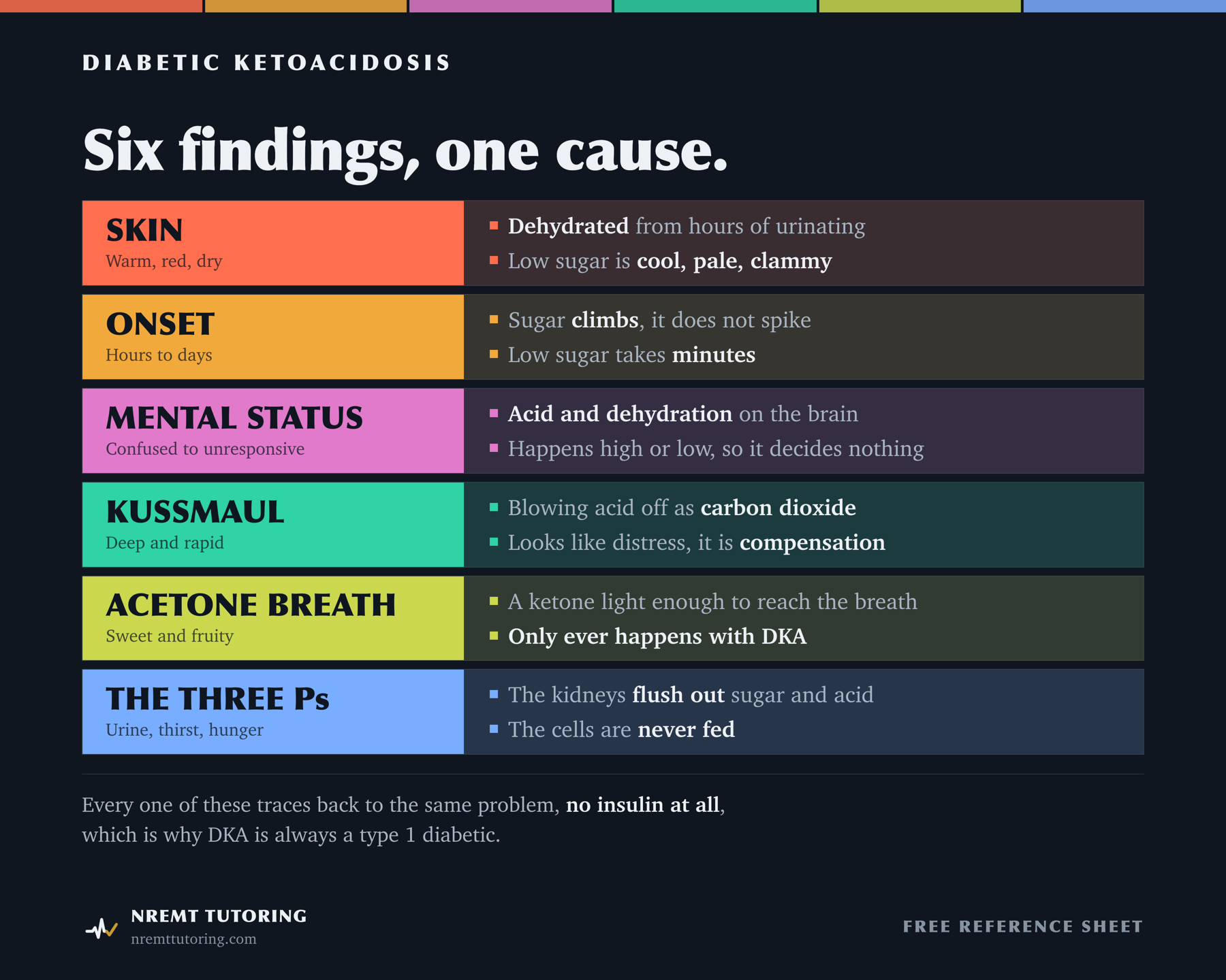 Chart of the six findings of diabetic ketoacidosis (DKA) and why each one happens. Skin: warm, red, and dry, because the patient has been urinating for hours and is dehydrated; low blood sugar is cool, pale, and clammy instead. Onset: hours to days, because the sugar climbs rather than spikes; low blood sugar takes minutes. Mental status: confused to unresponsive, from acid and dehydration on the brain; it happens with high or low sugar, so it decides nothing. Kussmaul respirations: deep and rapid, the body blowing acid off as carbon dioxide; it looks like distress, but it is compensation. Acetone breath: sweet and fruity, a ketone light enough to reach the breath, and it only happens with DKA. The three Ps: urination, thirst, and hunger, because the kidneys flush out sugar and acid and the cells are never fed. Every finding traces back to no insulin at all, which is why DKA is always a type 1 diabetic.