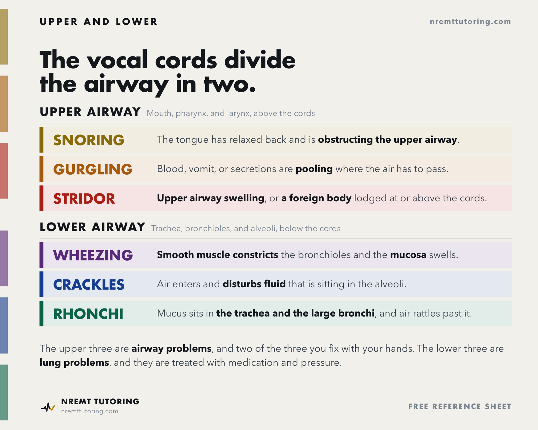 Chart dividing the six airway sounds at the vocal cords. Above the cords, in the mouth, pharynx, and larynx, are the three upper airway sounds. Snoring means the tongue has relaxed back and is obstructing the upper airway. Gurgling means blood, vomit, or secretions are pooling where the air has to pass. Stridor means upper airway swelling, or a foreign body lodged at or above the cords. Below the cords, in the trachea, bronchioles, and alveoli, are the three lower airway sounds. Wheezing means smooth muscle constricts the bronchioles and the mucosa swells. Crackles mean air enters and disturbs fluid that is sitting in the alveoli. Rhonchi means mucus sits in the trachea and the large bronchi and air rattles past it. The upper three are airway problems and two of the three are fixed with your hands. The lower three are lung problems, treated with medication and pressure.